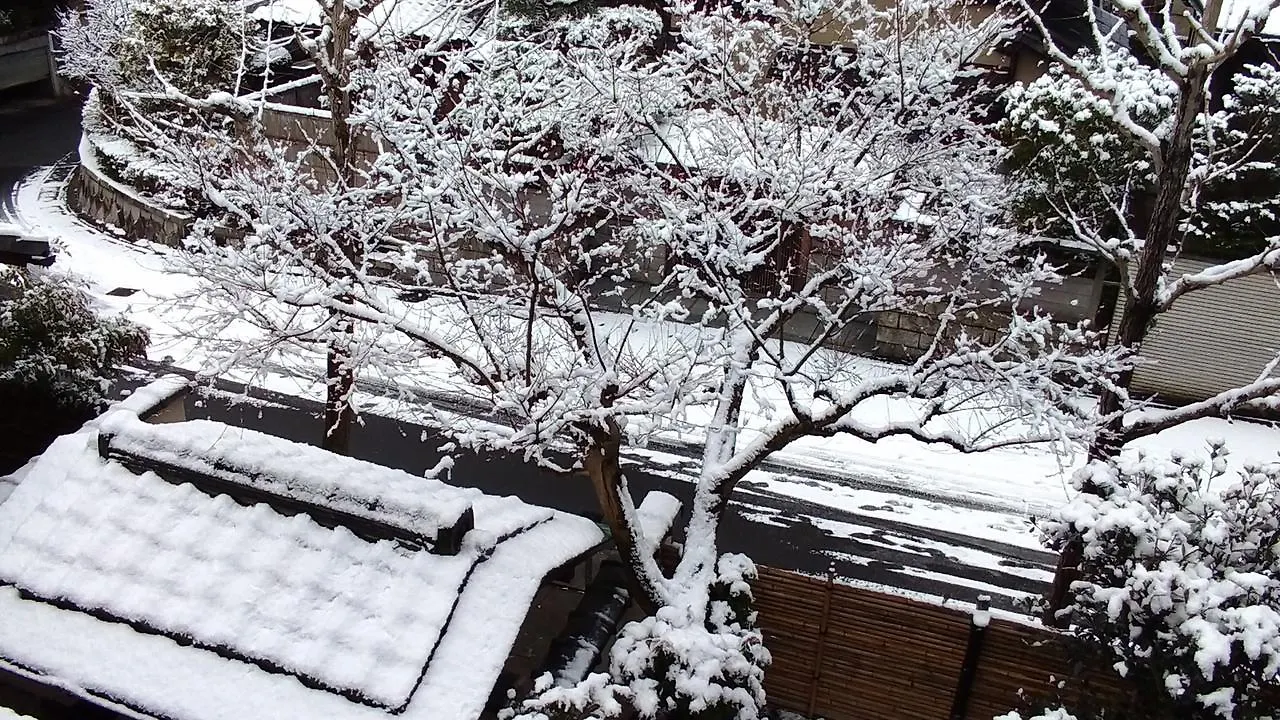Kinkaku Hotel Kyoto